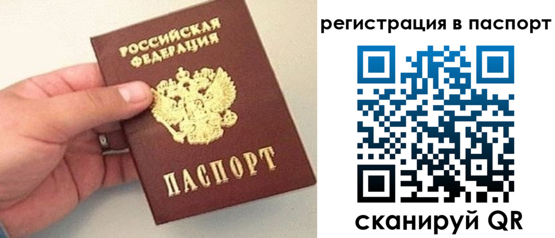 прописка законно в Сосенском